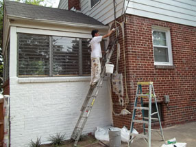 A Painter in Vienna VA
