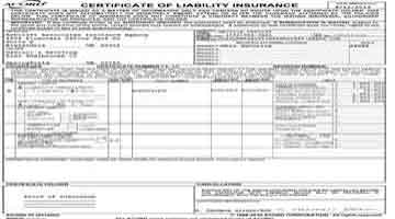 Davinci's Insurance Certificate
